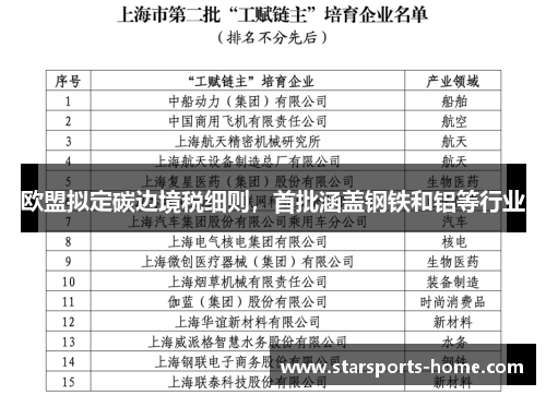 欧盟拟定碳边境税细则，首批涵盖钢铁和铝等行业